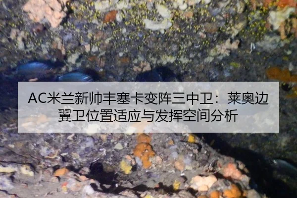 mi-lan-xin-shuai-feng-sai-ka-bian-zhen-san-zhong-wei-lai-ao-bian-yi-wei-wei-zhi-shi-ying-yu-fa-hui-kong-jian-fen-xi-3-764.jpg